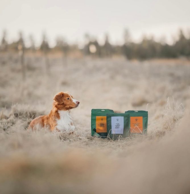 Dental Delights 3 @tollernikki