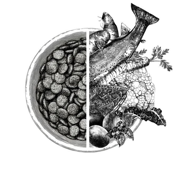 Dog_bowl_human_grade