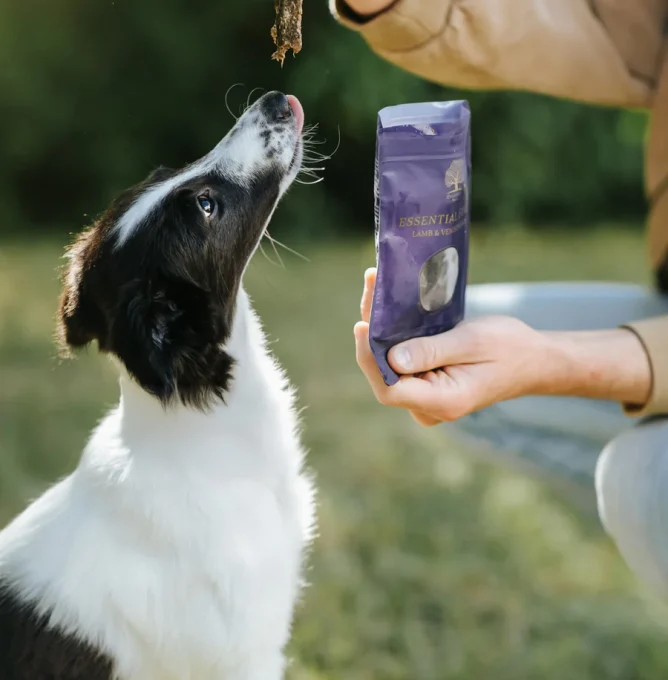 Finest-Lamb-and-Venison-Bar--_whippetvilja