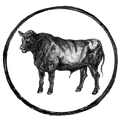 Fresh_meat_badge_500x500_7b96a9ec-0207-4515-b4c5-f6eb79546dbc
