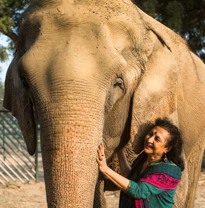 Geeta-Seshamani-3-900x600