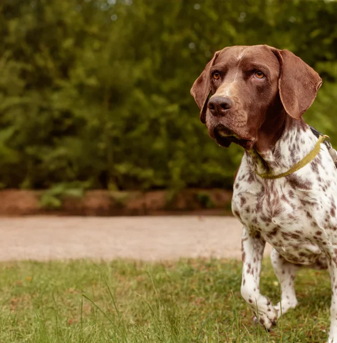 ¿Necesitas una menta?