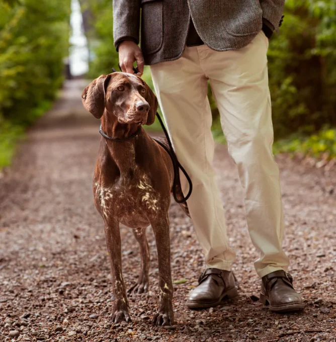 Lifestyle-Image-98_Dog-and-owner-on-trail_Original-format_Highres