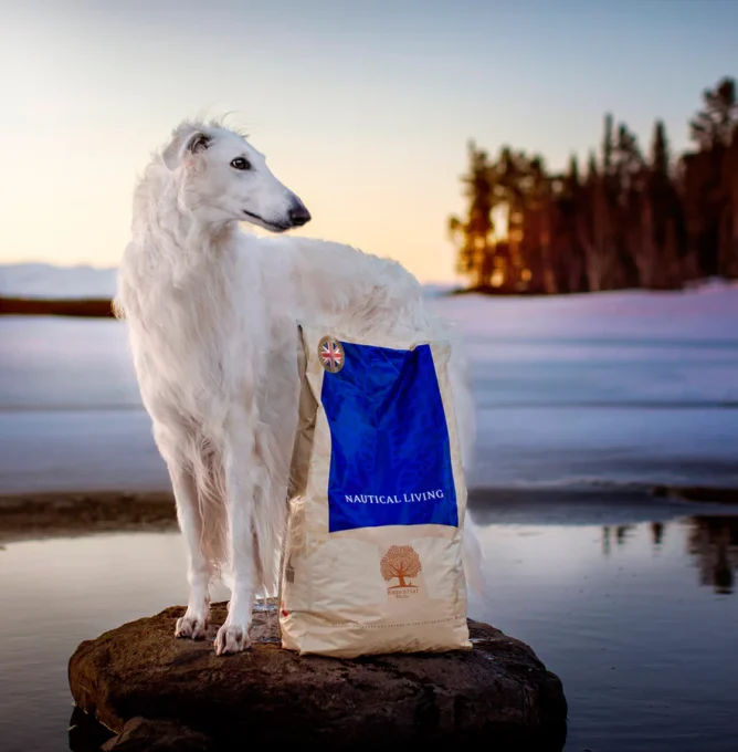 Nautical-Living-10-kg-uk-flag_-_zarwoe.oligarch
