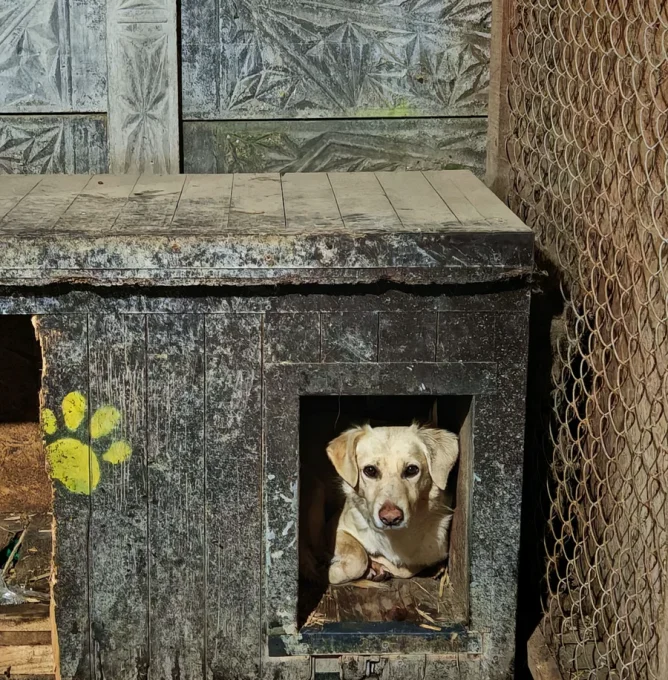 Skaermbillede_2025-02-06_kl._09.53.19