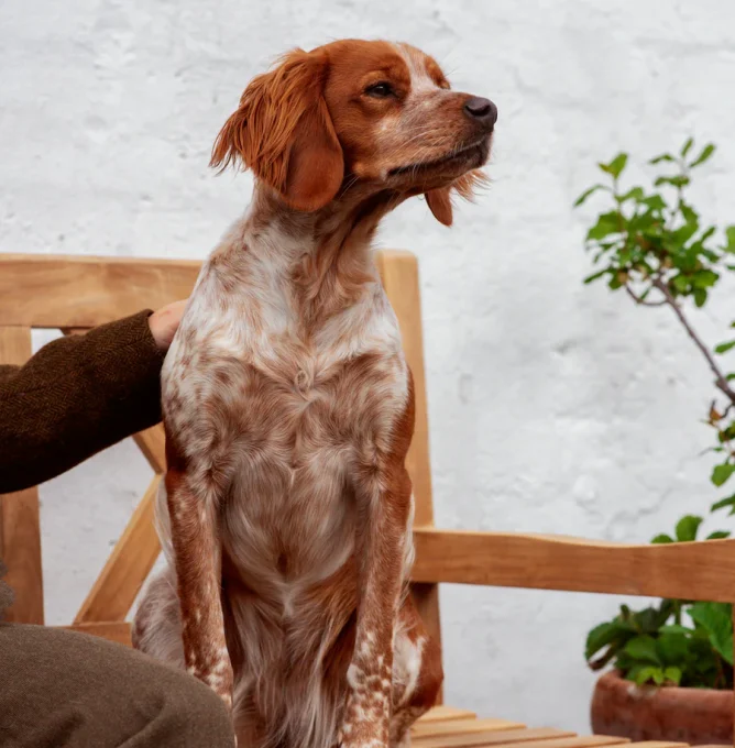 Skaermbillede_2025-06-10_kl._11.57.32