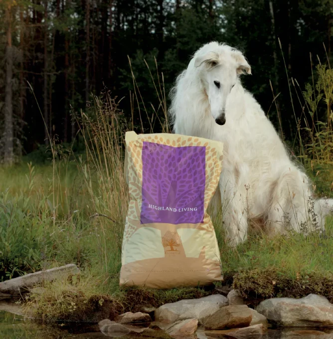 Skaermbillede_2025-10-10_kl._13.30.41