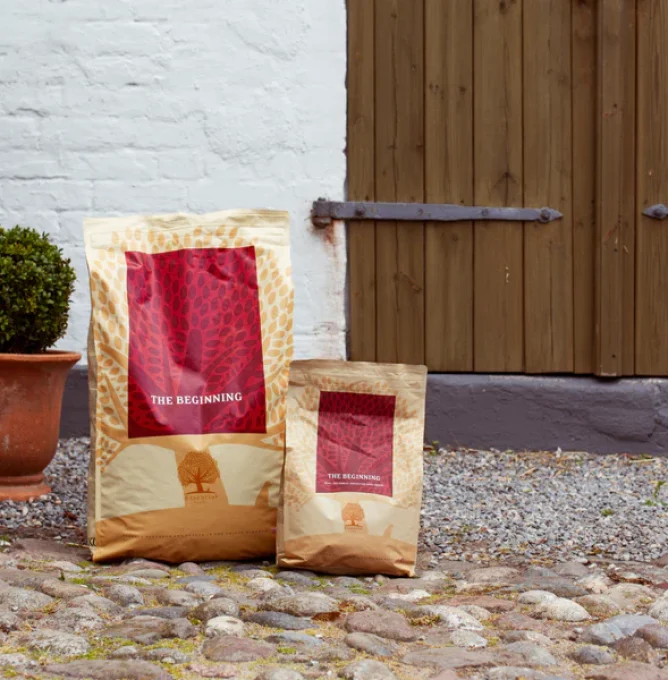 THE_BEGINNING_SMALL_BREED_Product_Image_Highres_Essential_Foods