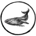 Whale-no-krill-icon