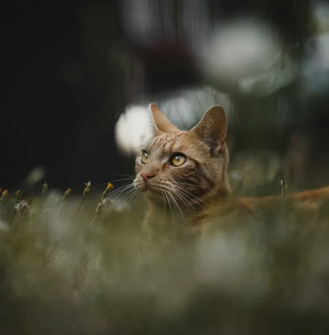 gijs-coolen-iO5tA4kLbhk-unsplash_low_res