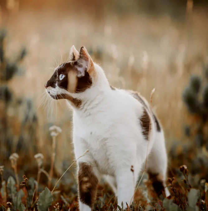 megan-dujardin-h8wyM_OdPLA-unsplash_low_res