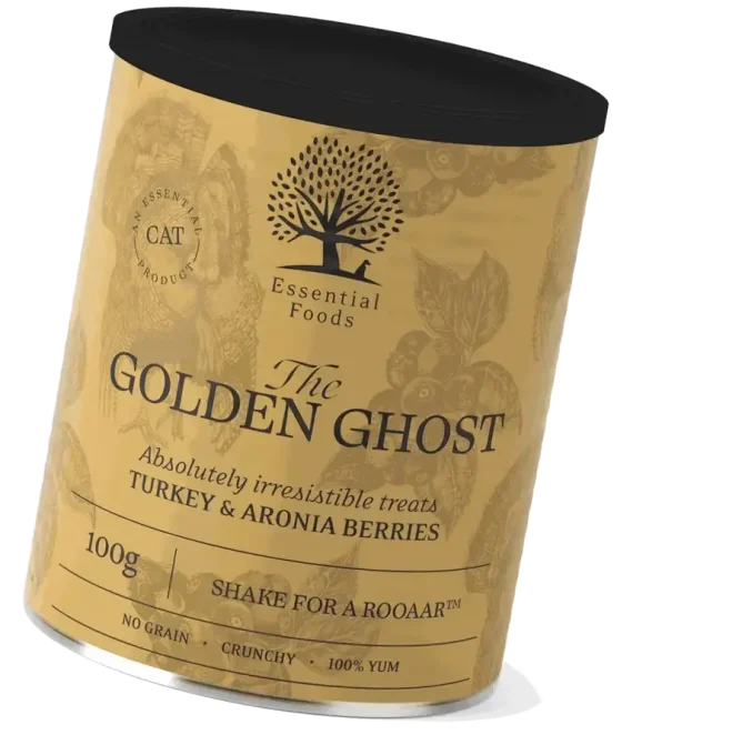 the_golden_ghost_tilt_shake_padded_transparent